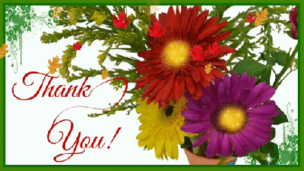 thank_you_cards_images_4383276379